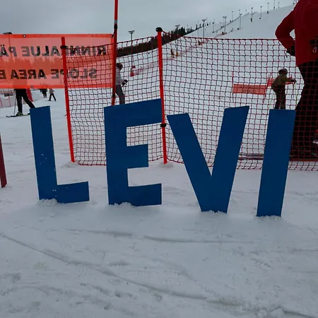 Winter Wonder Levi *