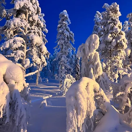 Appartement Winter Wonder Levi