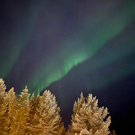 Winter Wonder Levi * Kittilä