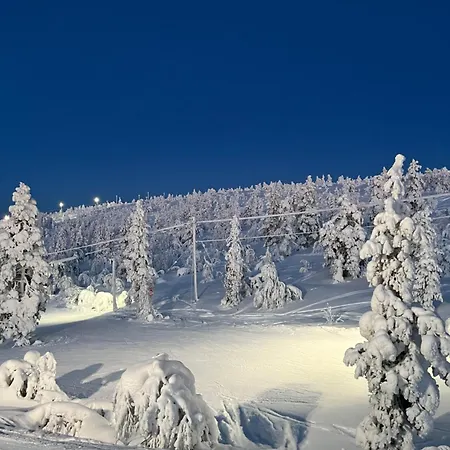 Appartement Winter Wonder Levi