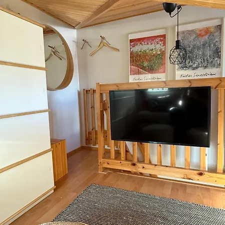 Winter Wonder Levi *