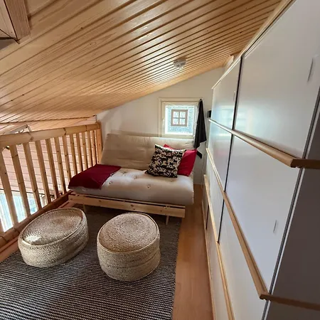 Winter Wonder Levi Appartement *