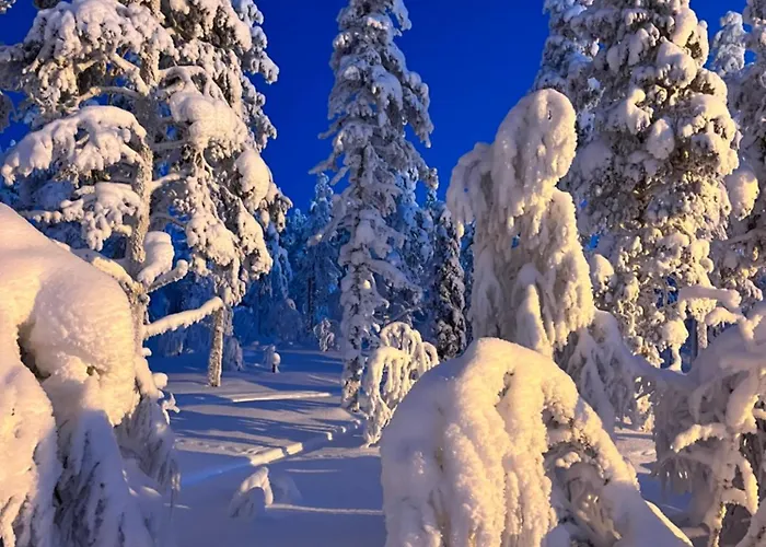 Lejlighed Winter Wonder Levi