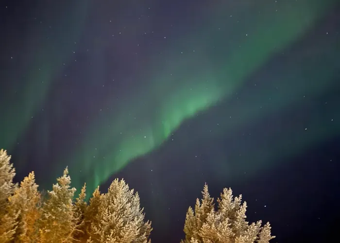 Winter Wonder Levi * Kittilä